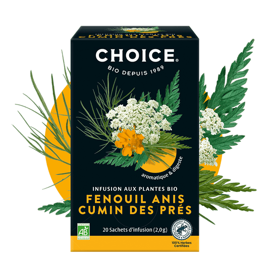 CHOICE -- Fenouil Anis Cumin des prés - 20 sachets - 40 g